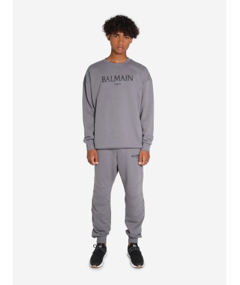 Balmain Boys Logo Sweatshirt in Grey les muscles