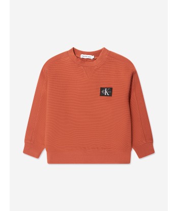 Calvin Klein Boys Ottoman Badge Sweatshirt in Auburn en ligne