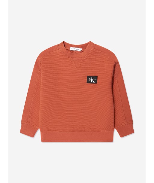 Calvin Klein Boys Ottoman Badge Sweatshirt in Auburn en ligne