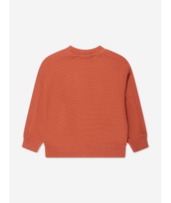 Calvin Klein Boys Ottoman Badge Sweatshirt in Auburn en ligne